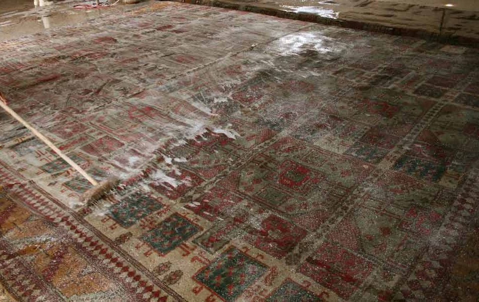 professional rug cleaning